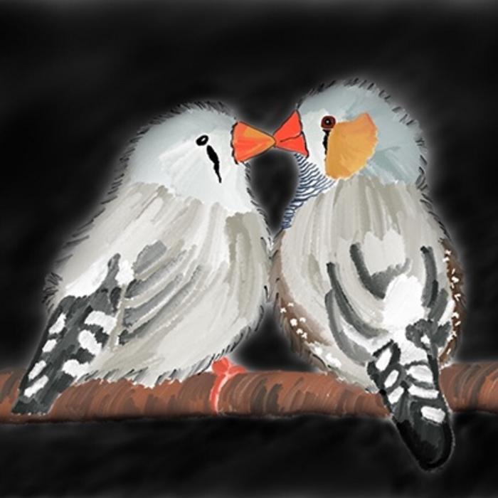 How an audience changes a songbird’s brain