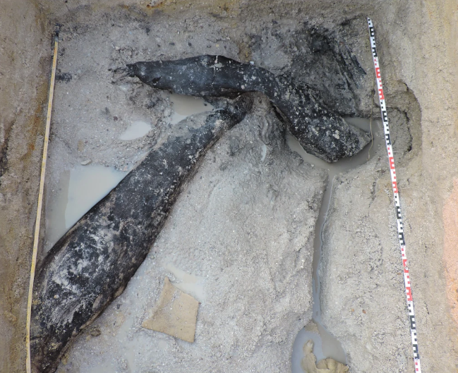 DAILY DOSE: Writers with the Authors Guild are suing OpenAI; Stone Age wooden structures are oldest yet known.