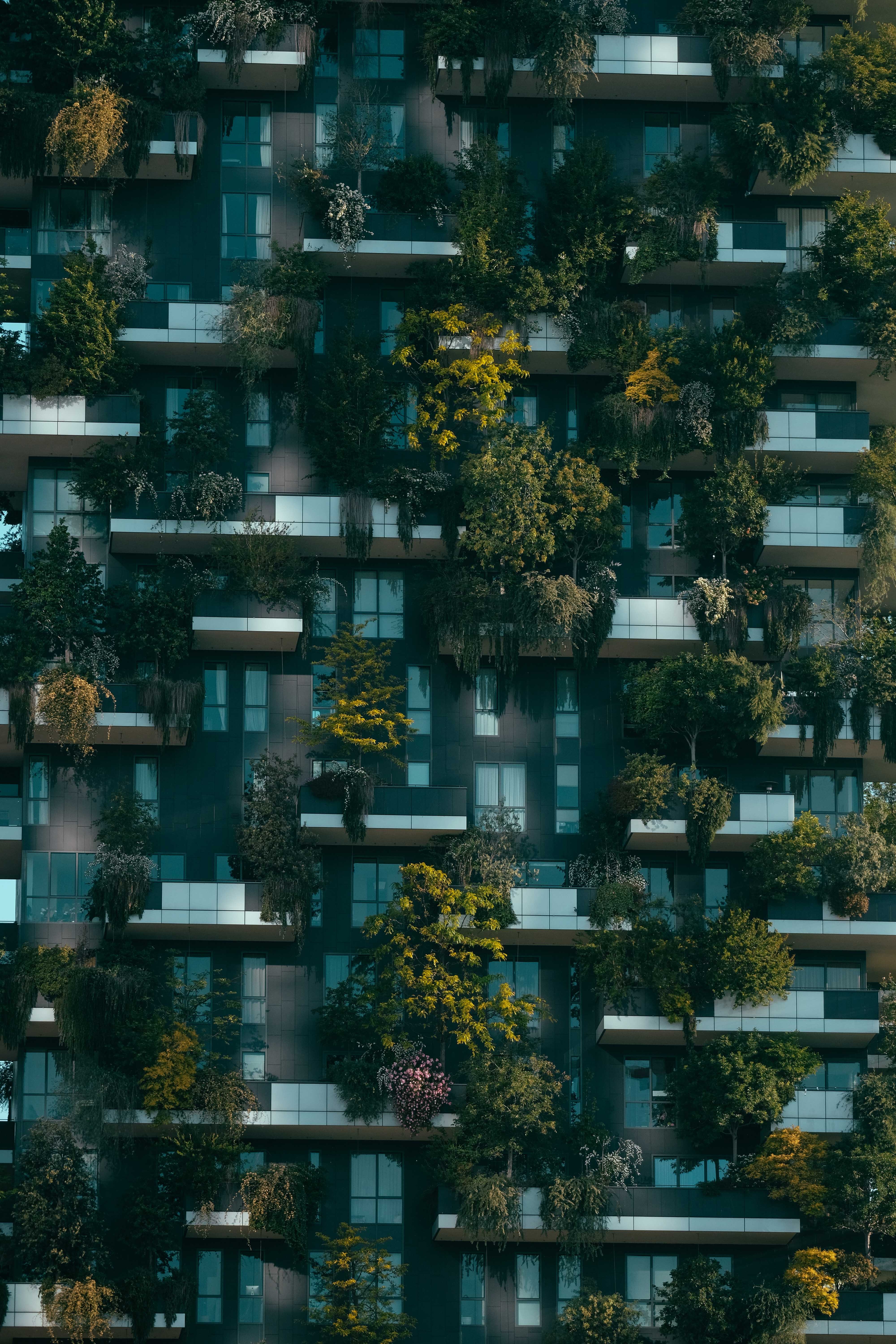 The Big Picture: Bosco Verticale, the Vertical Forest.