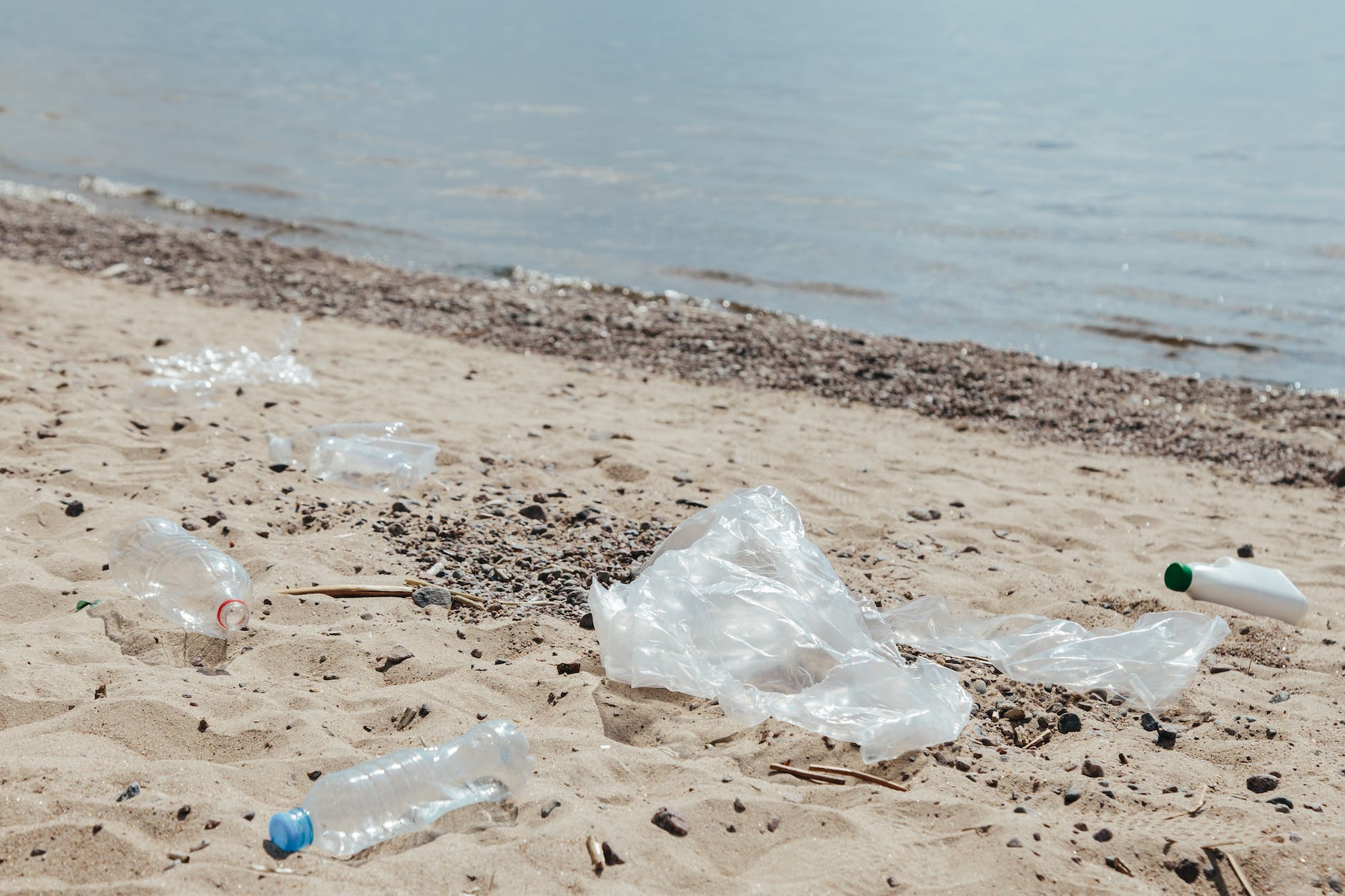 Genetically modified bacteria break down plastics in saltwater.