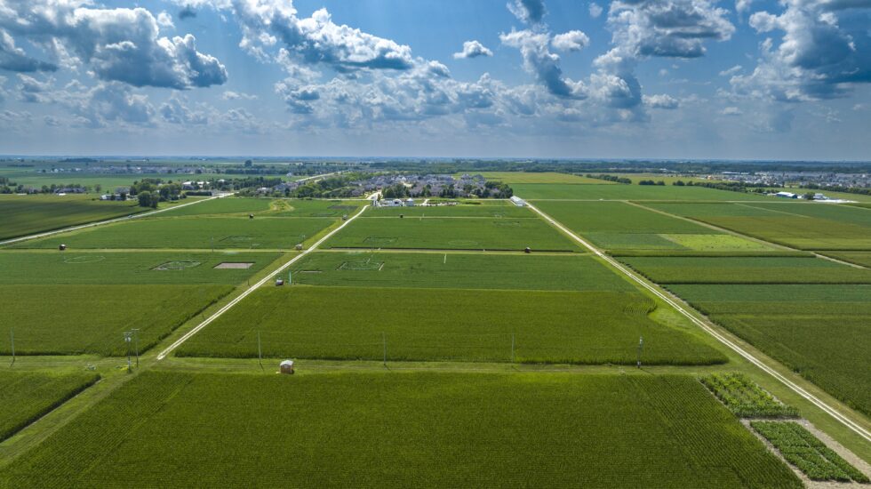 Illinois researchers prove that new method can be used to measure ozone stress in soybeans