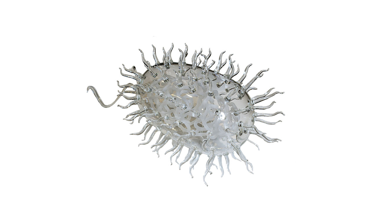 Antibiotics can help some bacteria survive for longer