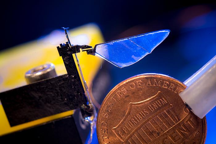 These robots helped understand how insects evolved two distinct strategies of flight.