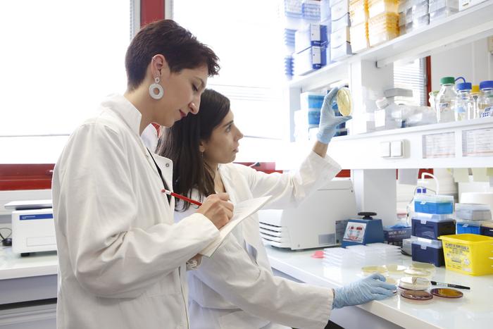 Training the gut’s immune system to combat detrimental effects of emulsifiers in processed food.