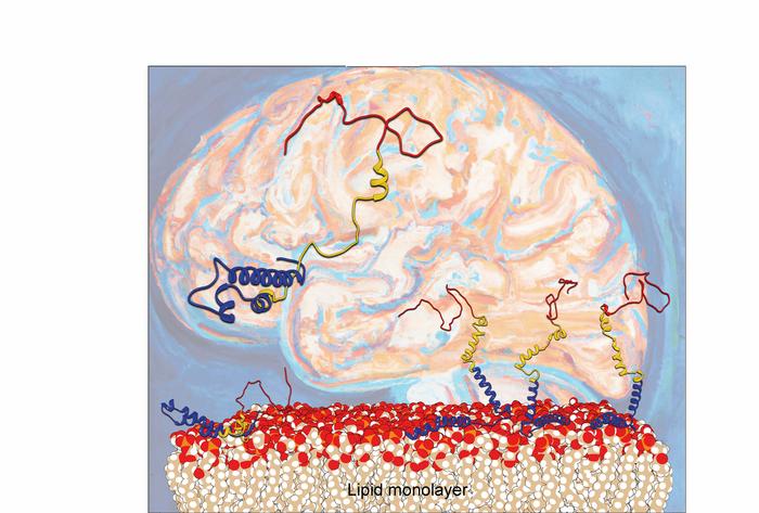 Discovery of protein orientation helps scientists understand Parkinson’s disease.