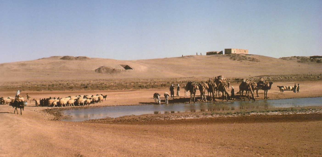 A prehistoric cosmic airburst preceded the advent of agriculture in the Levant