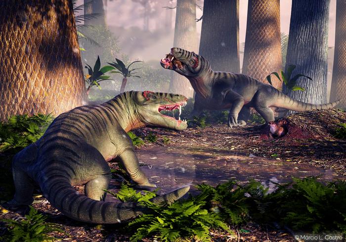 265-million-year-old fossil reveals oldest, largest predator in South America, long before the rise of dinosaurs.