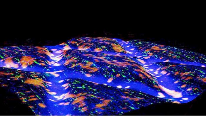 New ‘patch’ uses natural body motion to fix disc herniation.