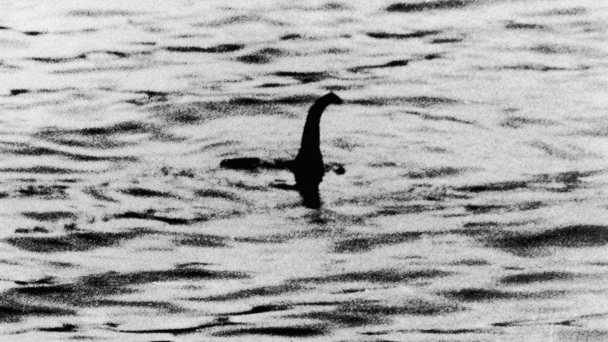 Unraveling the Loch Ness Monster’s eel connection