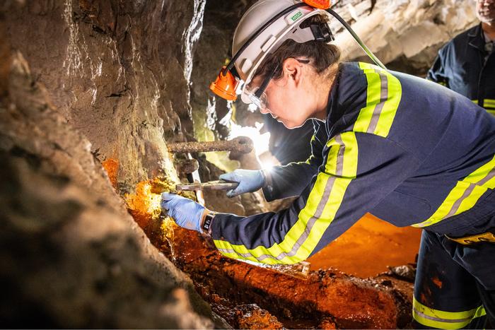 Minimalist or maximalist? The life of a microbe a mile underground