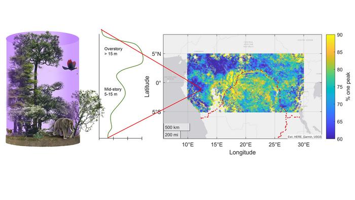 Into the unknown: NASA space laser provides answers to a rainforest canopy mystery.