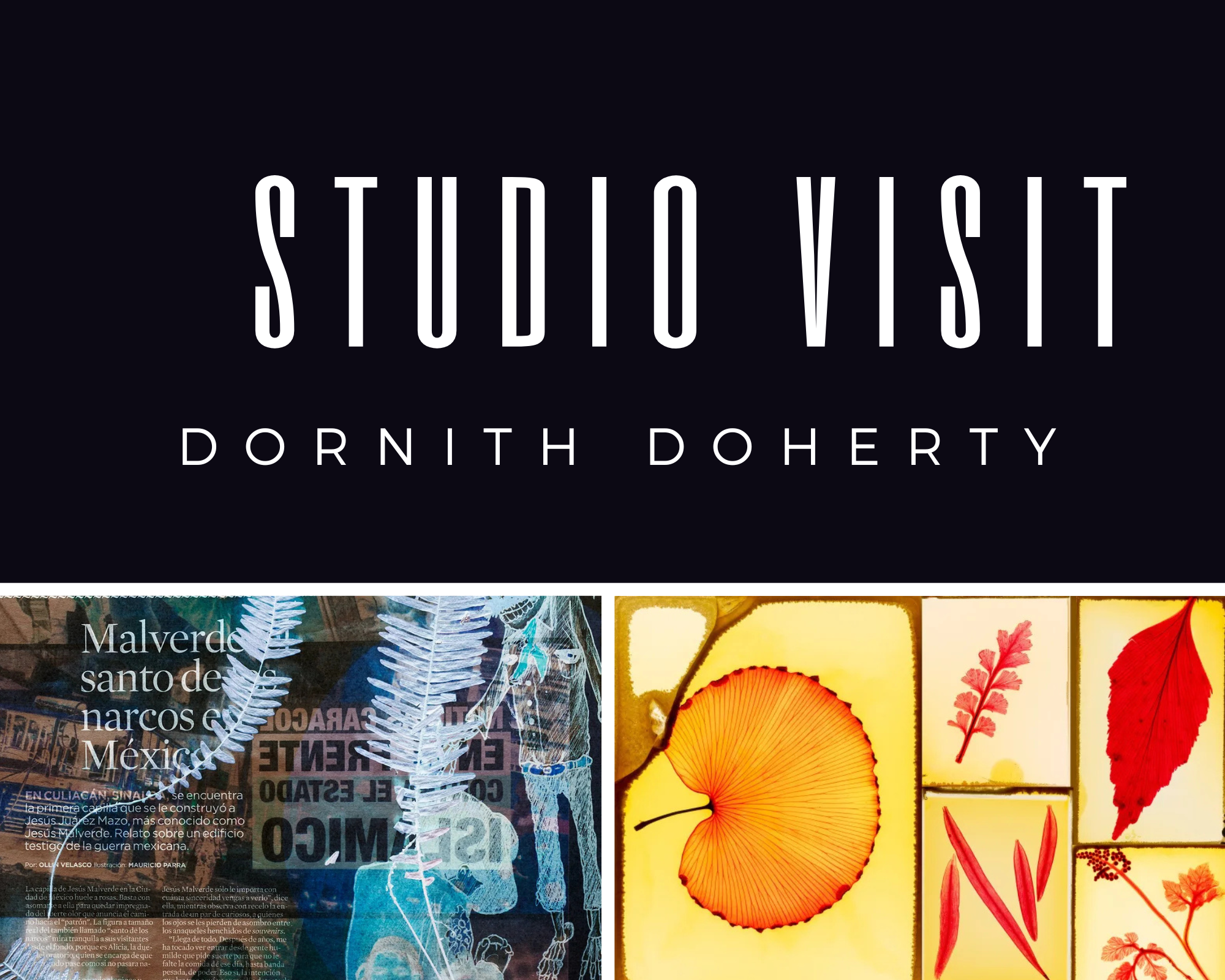 Studio Visit with Dornith Doherty: Interrogating the Anthropocene through artistic collaborations with scientists.