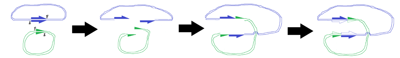 Defense against the enemy within.