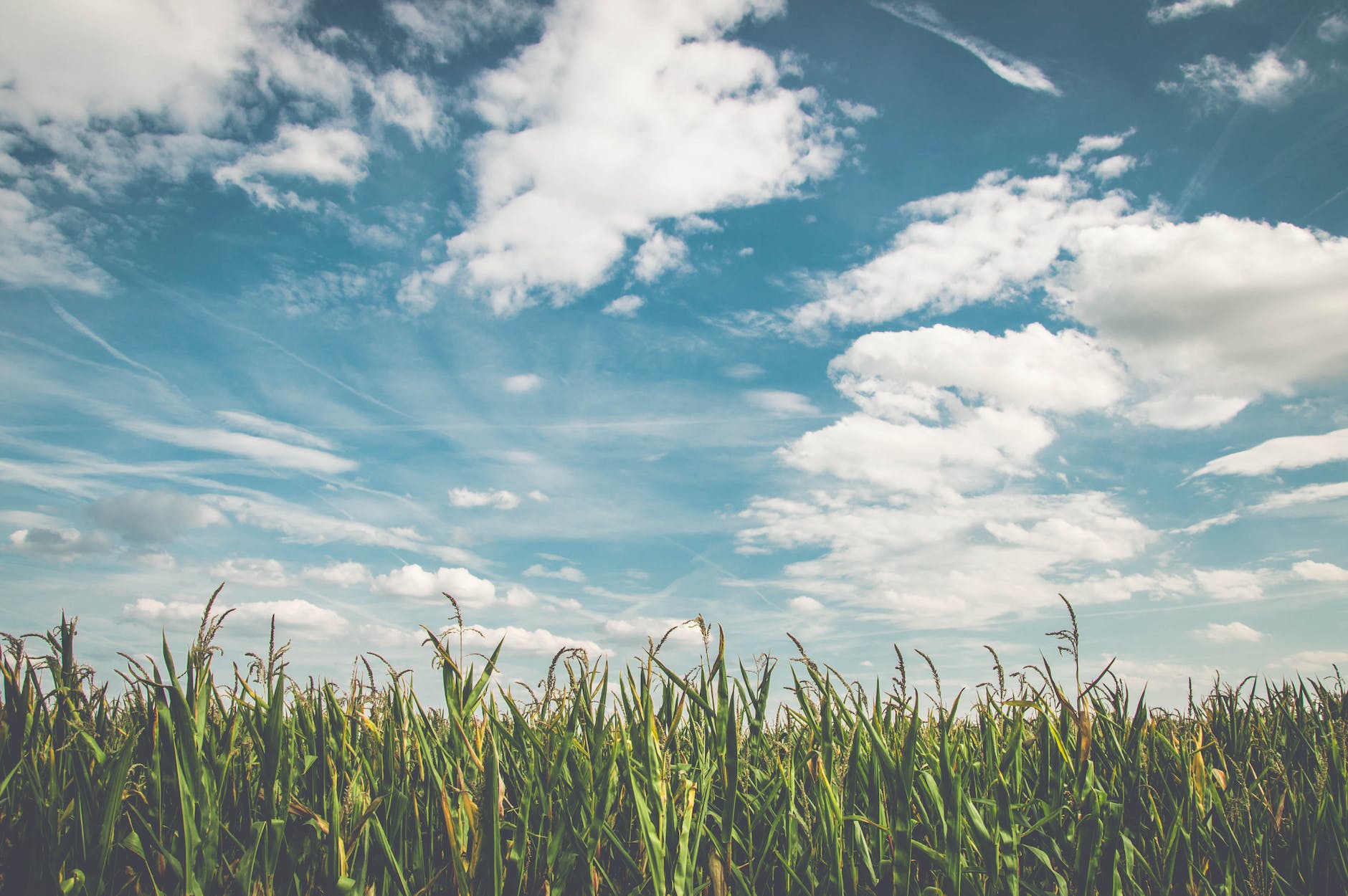 Using artificial methods for growing crops could help solve global food security.