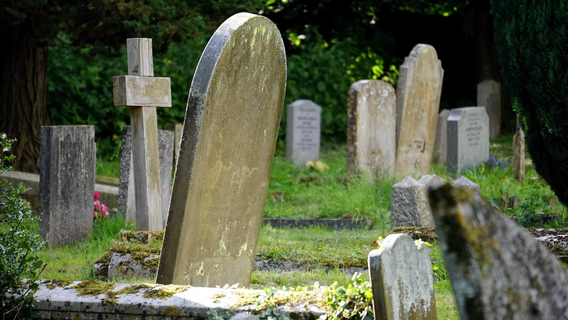New findings suggest historical infanticide in Europe likely more widespread than estimated.