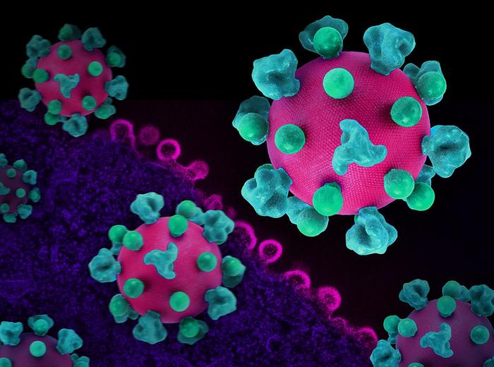 NIH research identifies opportunities to improve future HIV vaccine candidates.