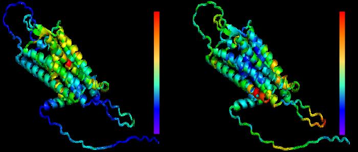 Unlocking the human genome: Innovative machine learning tool predicts functional consequences of genetic variants.