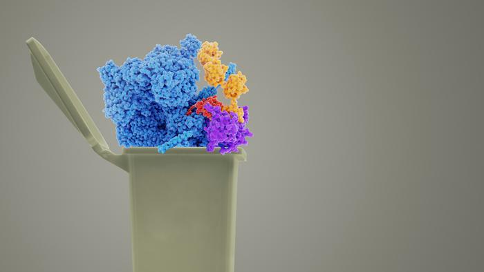 New way to force pathogenic proteins into degradation.