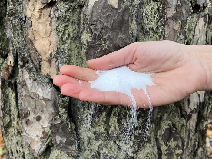 Resource-efficient and climate-friendly with sodium-ion batteries.