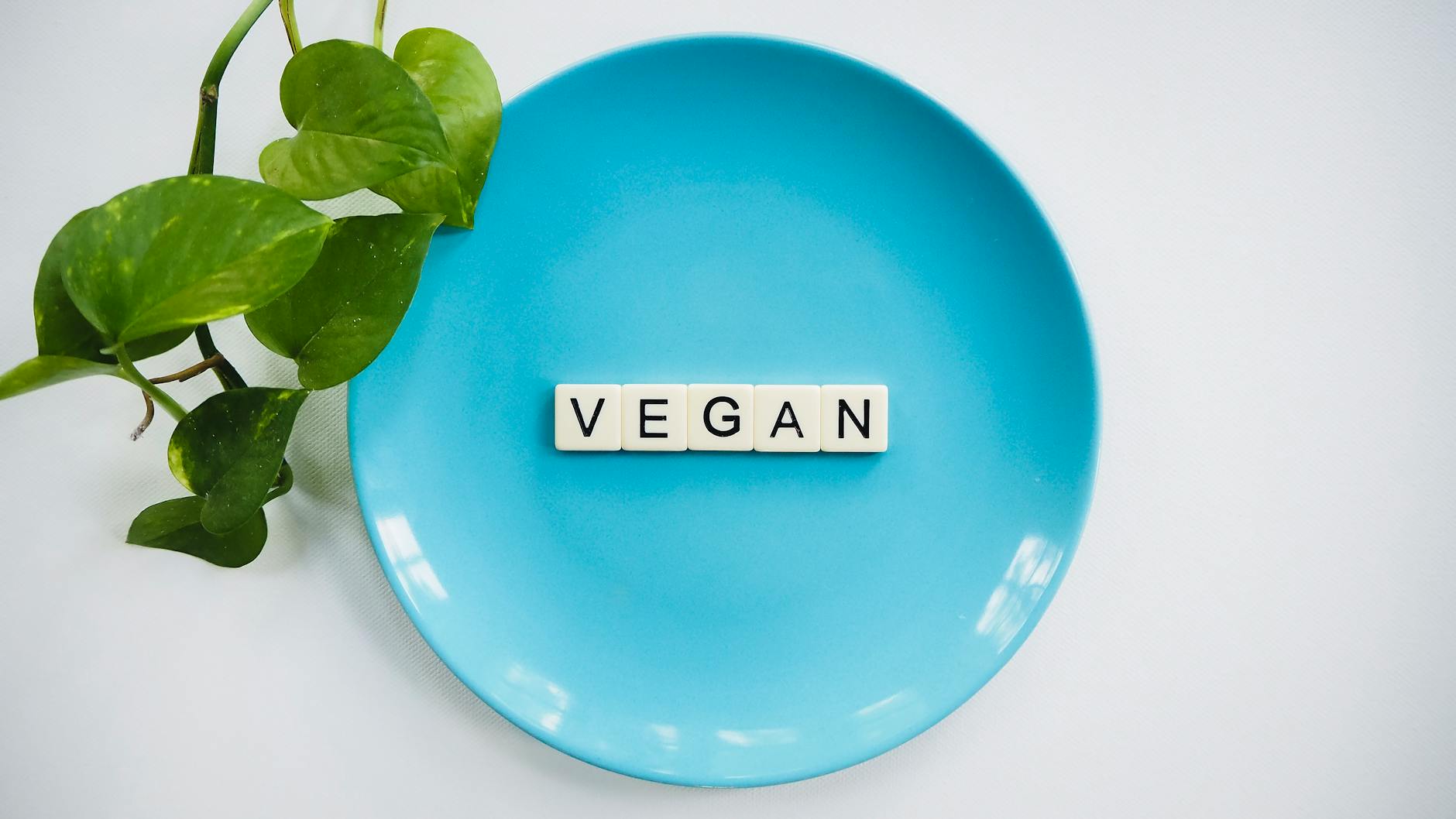 Don’t say vegan: Americans more likely to choose vegan food if labeled ‘healthy’ and ‘sustainable’