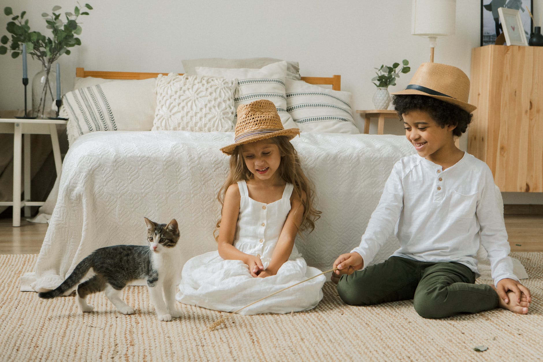 Animal behavior: Cats like to fetch when they’re feline playful