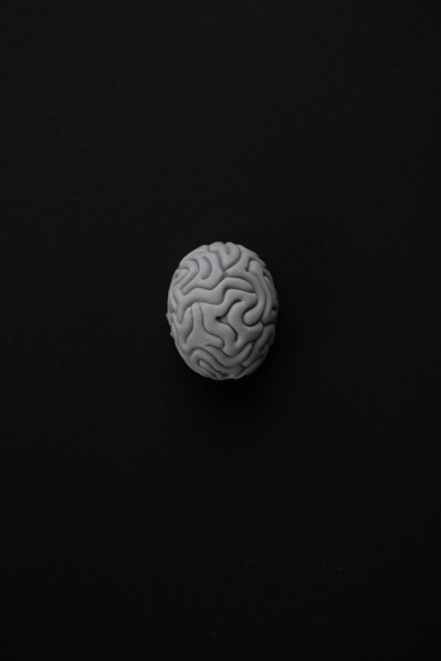 Alzheimer’s discovery reveals dire effect of toxic tau protein on brain cells.