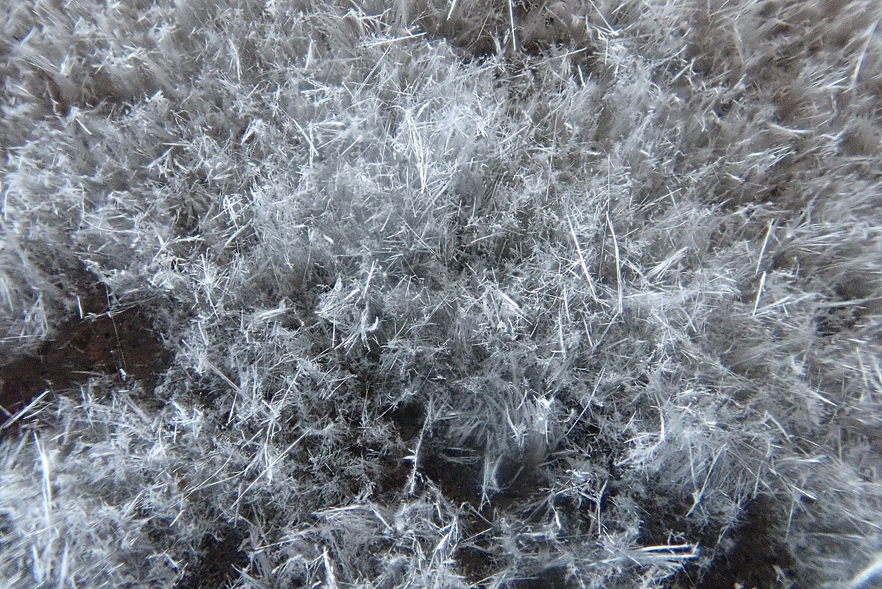 The Big Picture: Urea under the ‘scope.