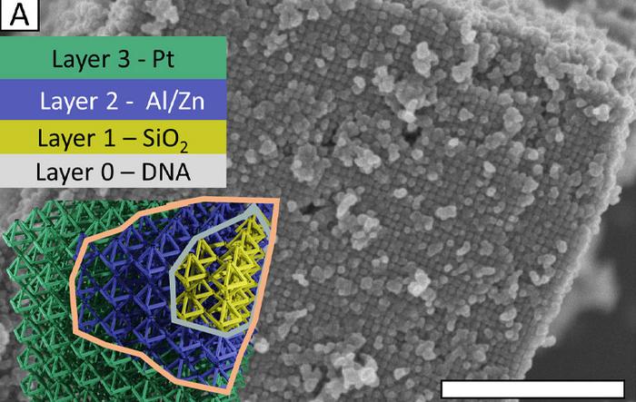 Hacking DNA to make next-gen materials