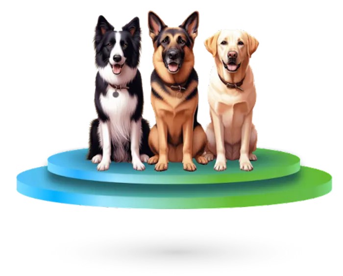 New research shows AI dog personality algorithm could match you with your new ‘best friend’