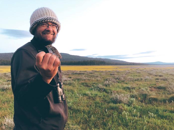 Sparrows uniquely adapted to Bay Area marshes are losing their uniqueness