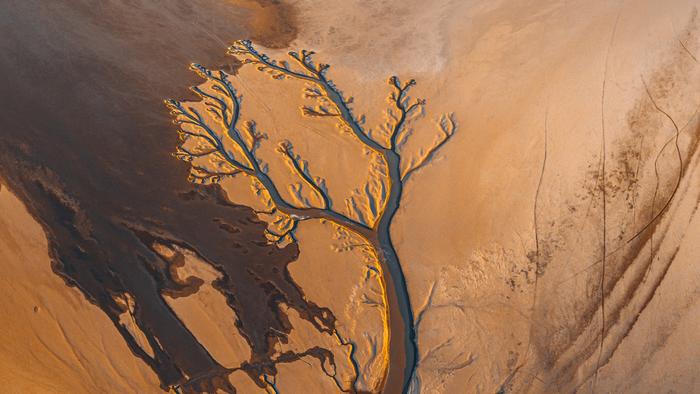 China’s Planted Forests Are More Vulnerable to Flash Droughts, Study Finds