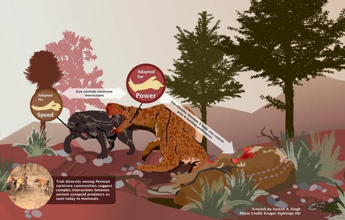 Killer instinct drove evolution of mammals’ predatory ancestors