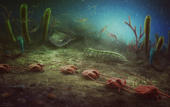 New fossil site of worldwide importance uncovered in southern France.