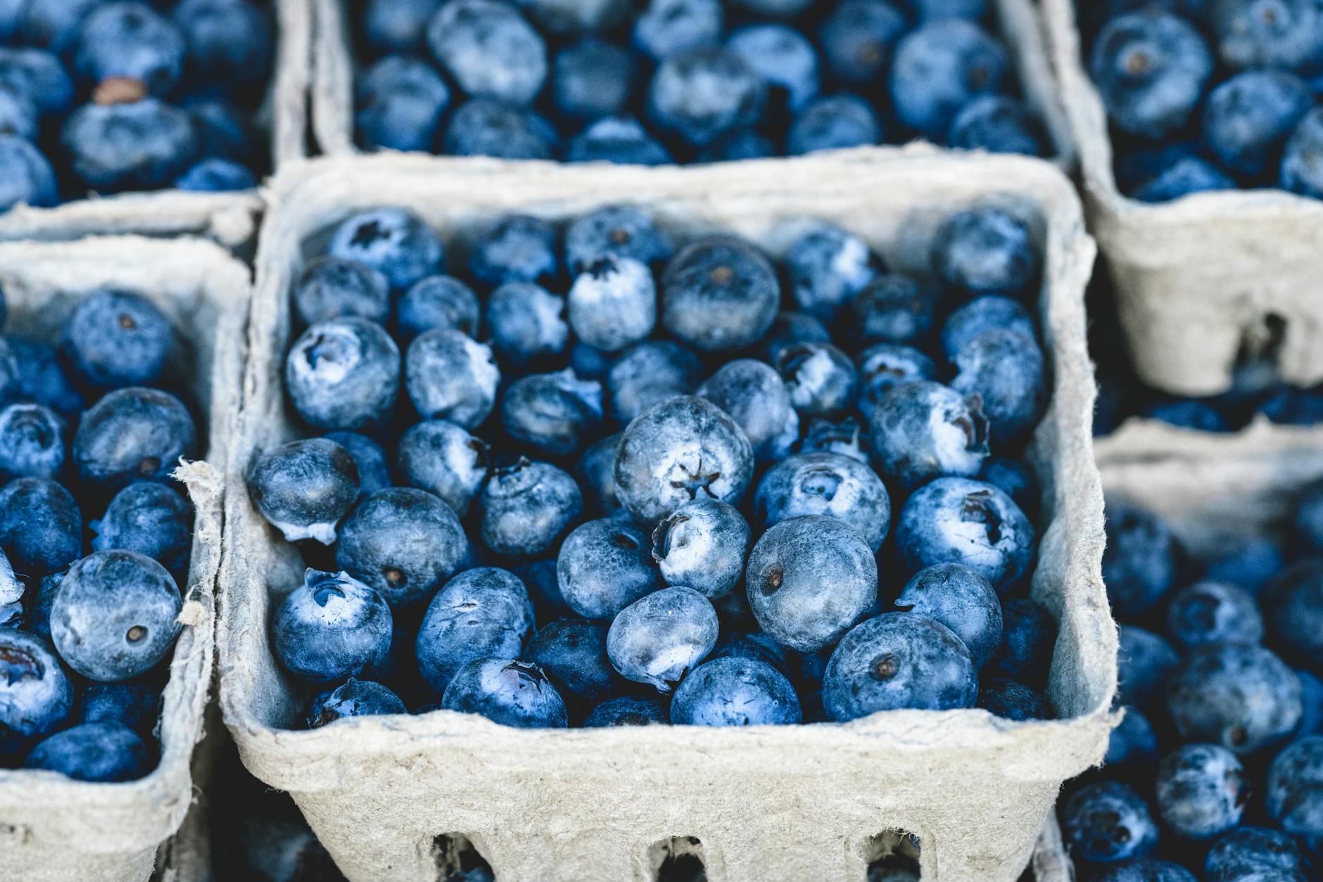 Scientists reveal why blueberries are blue.