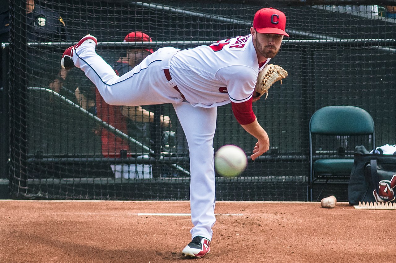 2024 Guide to Baseball Injuries: Rotator Cuff Injuries.