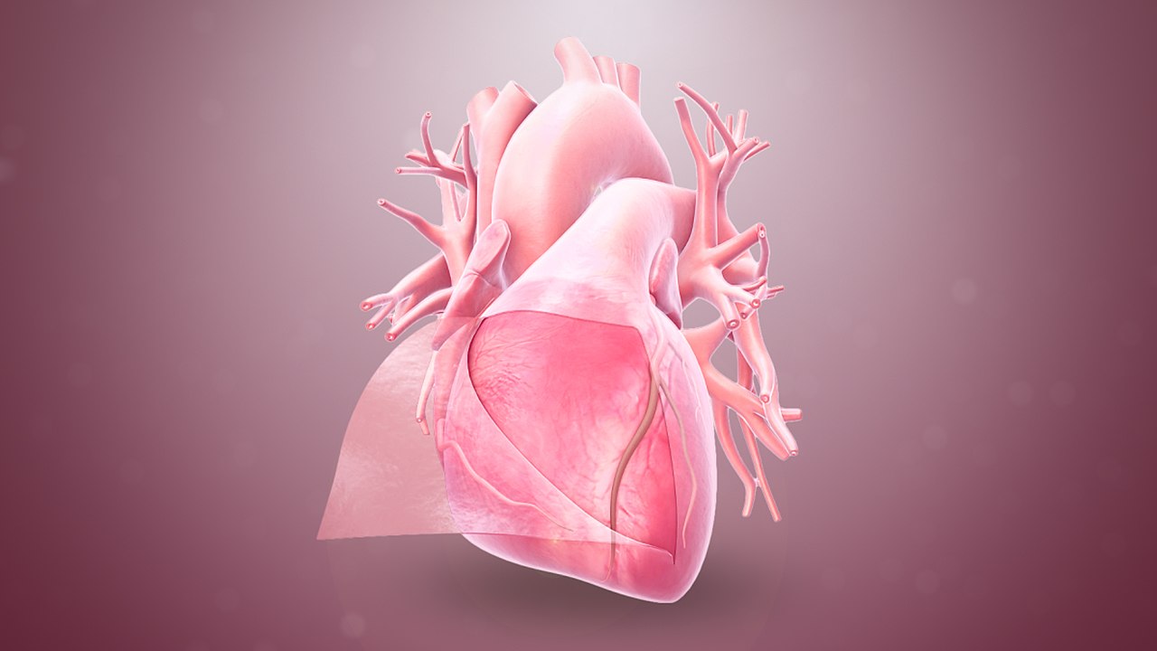 Therapy using intense light and chronological time can benefit heart.