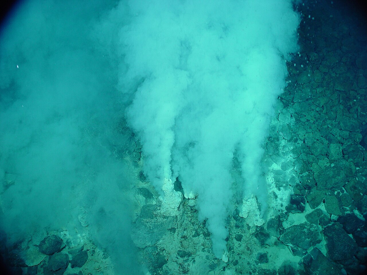 Even inactive smokers are densely colonized by microbial communities.