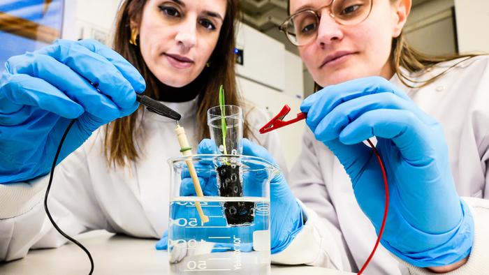 Electronic “soil” enhances crop growth