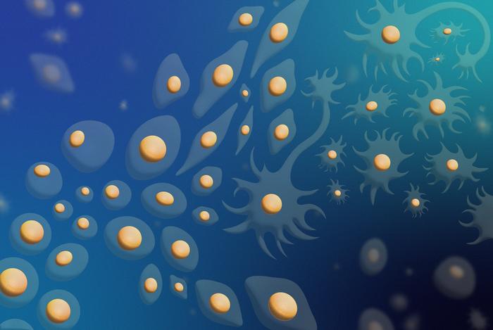 Transfer learning paves the way for new disease treatments