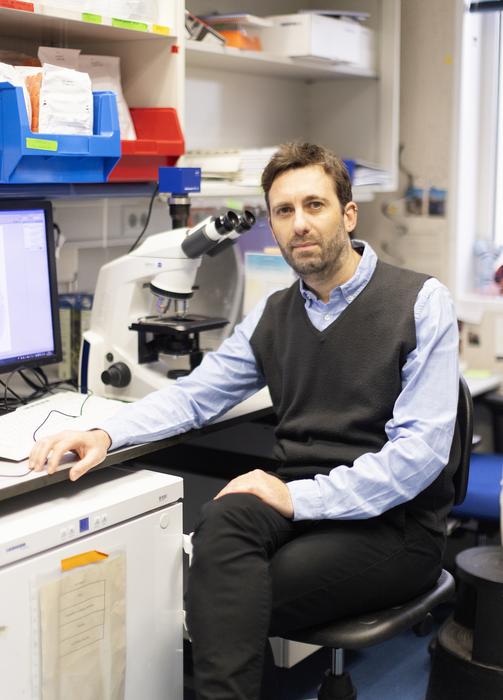 Intermittent food intake activates a ‘GPS gene’ in liver cells, thus completing the development of the liver after birth