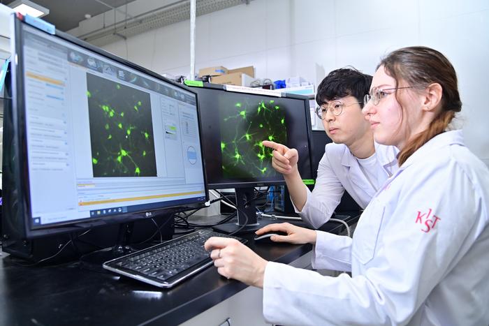Key to unlocking the secret of degenerative brain disorders found