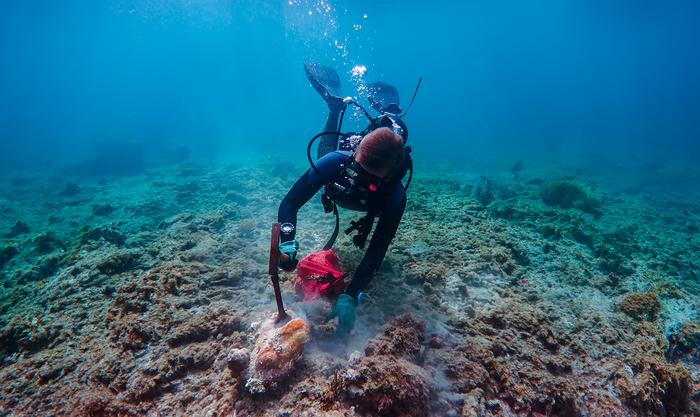 Going ‘back to the future’ to forecast the fate of a dead Florida coral reef
