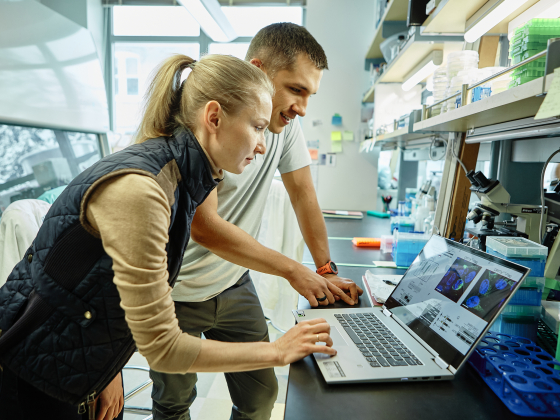 Montana State scientists’ research on RNA editing illuminates possible lifesaving treatments for genetic diseases