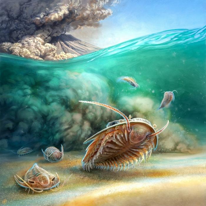 Pristine Trilobite Fossils: A Prehistoric Pompeii Revelation