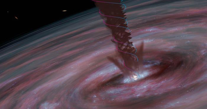 Growth of Supermassive Black Hole Mirrors That of a Newborn Star