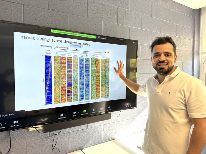 In the brain at rest, neurons rehearse future experience