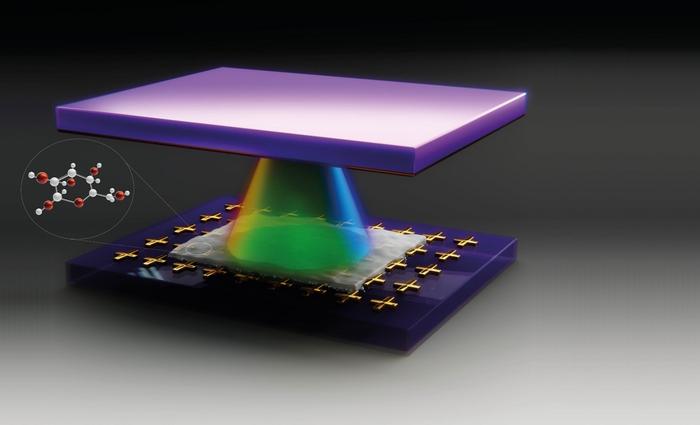 Hybrid Quantum State in Organic Material Unlocks New Properties
