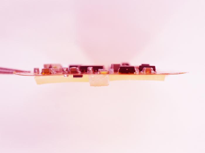 Bioelectronics Enter A New Era in Skin Tech