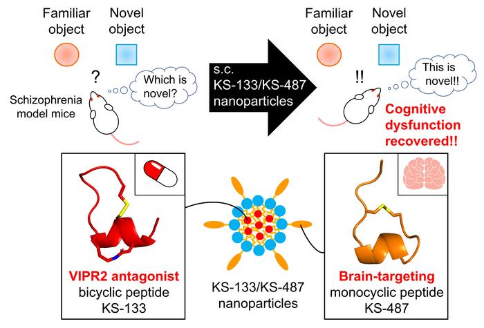 Novel peptide formulation shows promise of restoring cognitive decline in schizophrenia