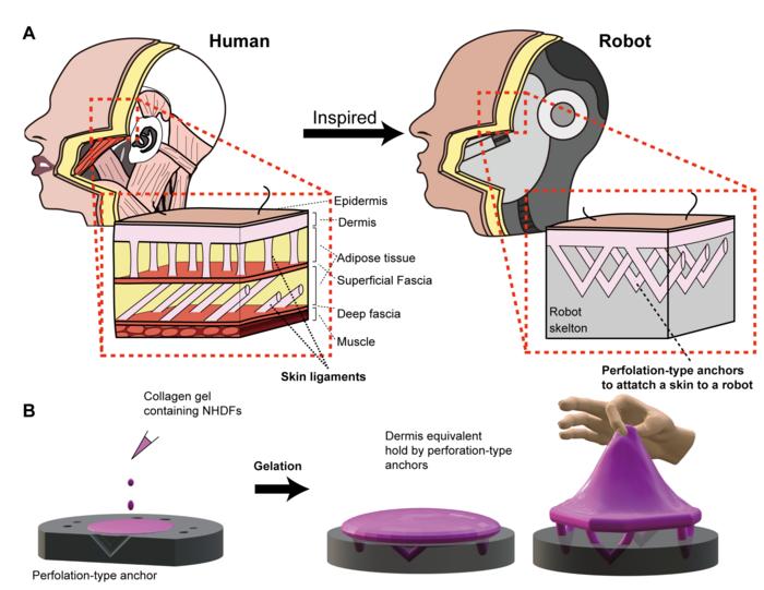 Robots face the future